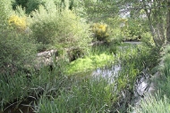 Brañas do río Calvos